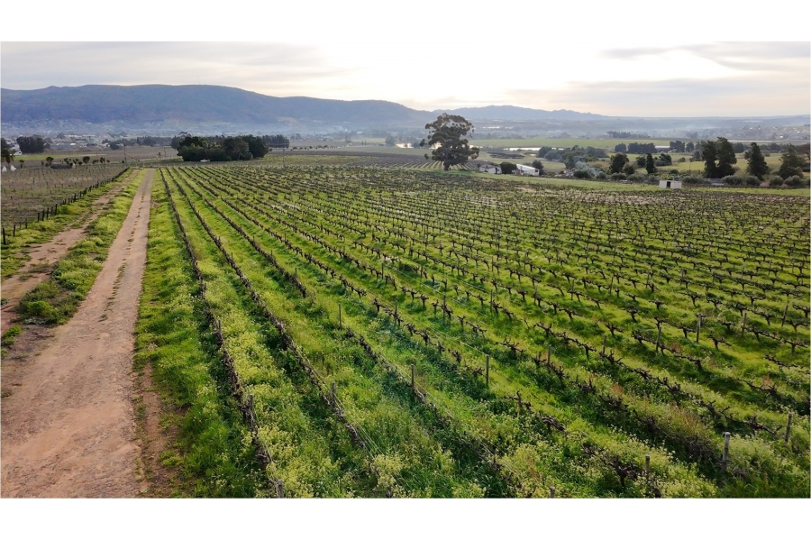 0 Bedroom Property for Sale in Paarl Rural Western Cape